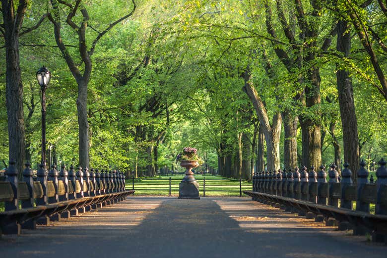 Explorando Central Park