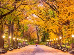Central Park en otoño