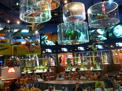 Restaurante Planet Hollywood Nueva York