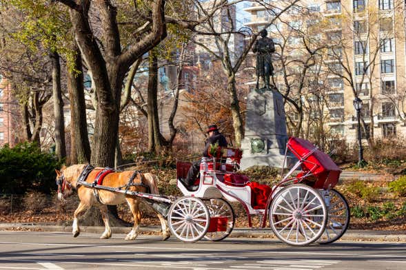 Paseo en calesa por Central Park